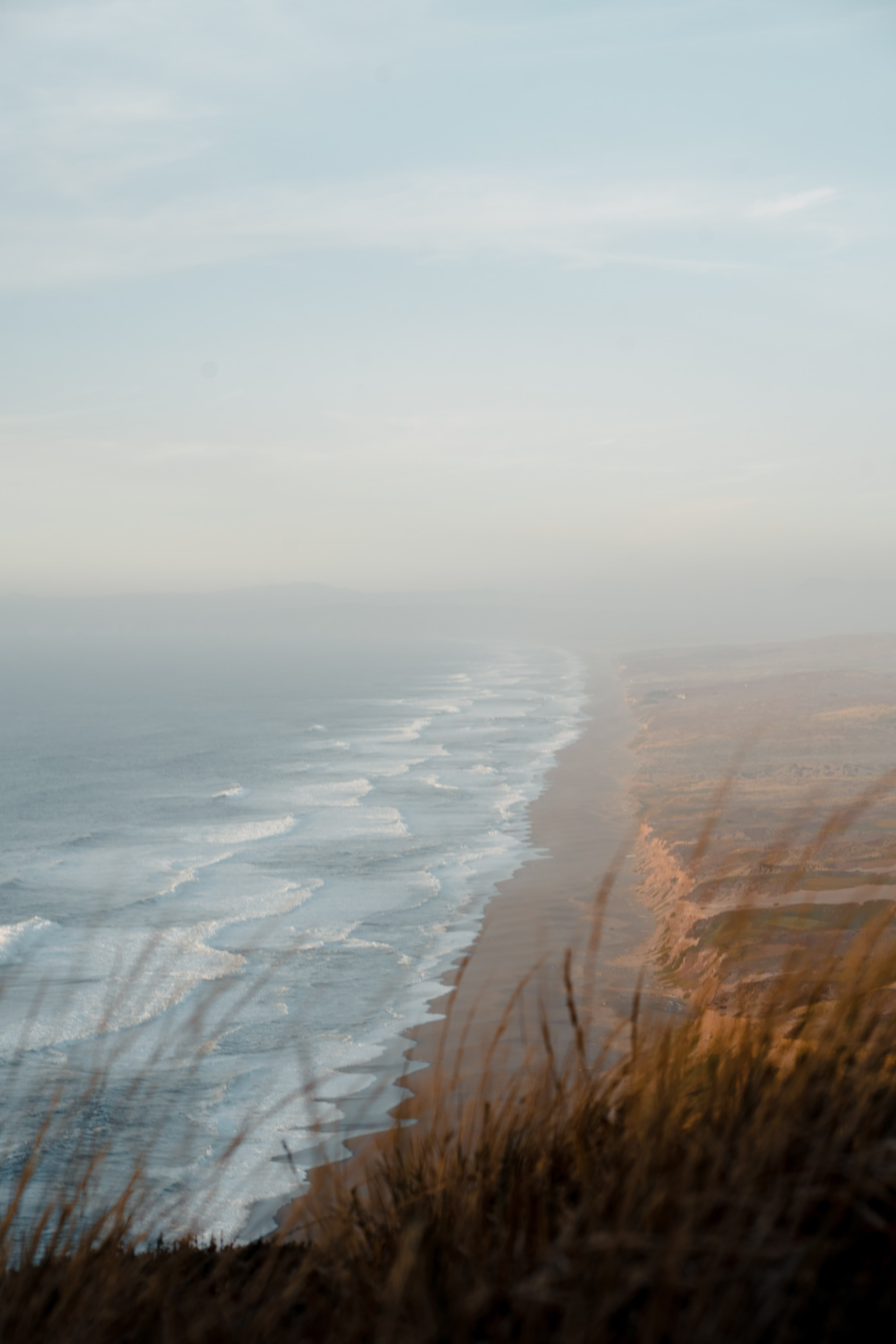 A hazy coastline viewed through tall grass.